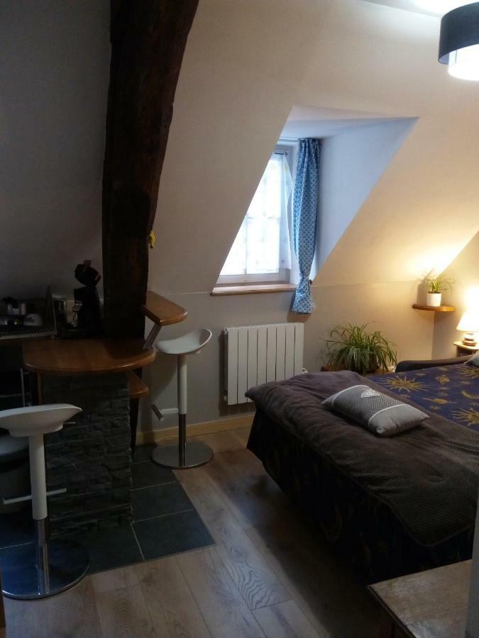 La Musette Apartment Дижон Екстериор снимка